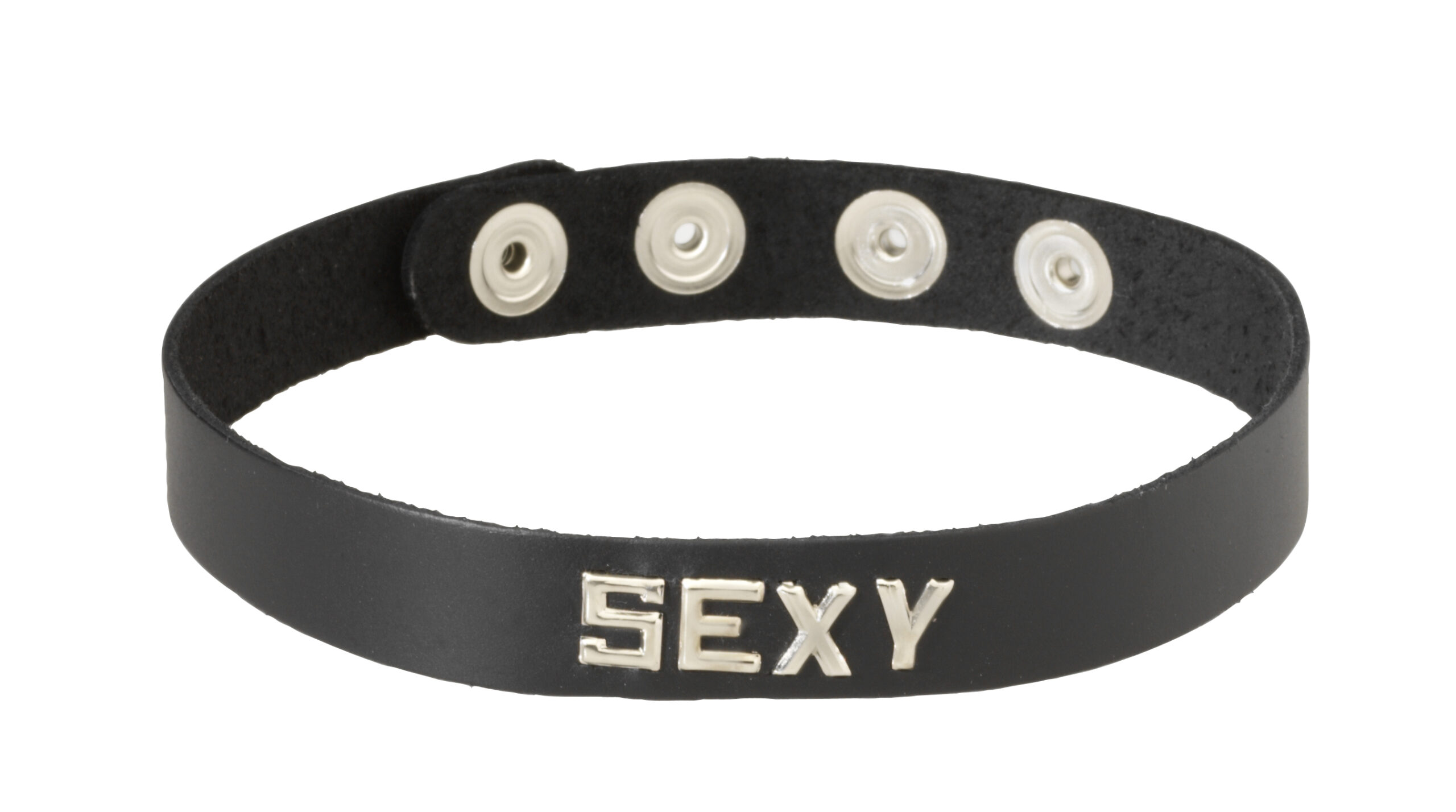 Spartacus Leathers Bondage Gear Wordband Collars Sexy Collar is an intimate