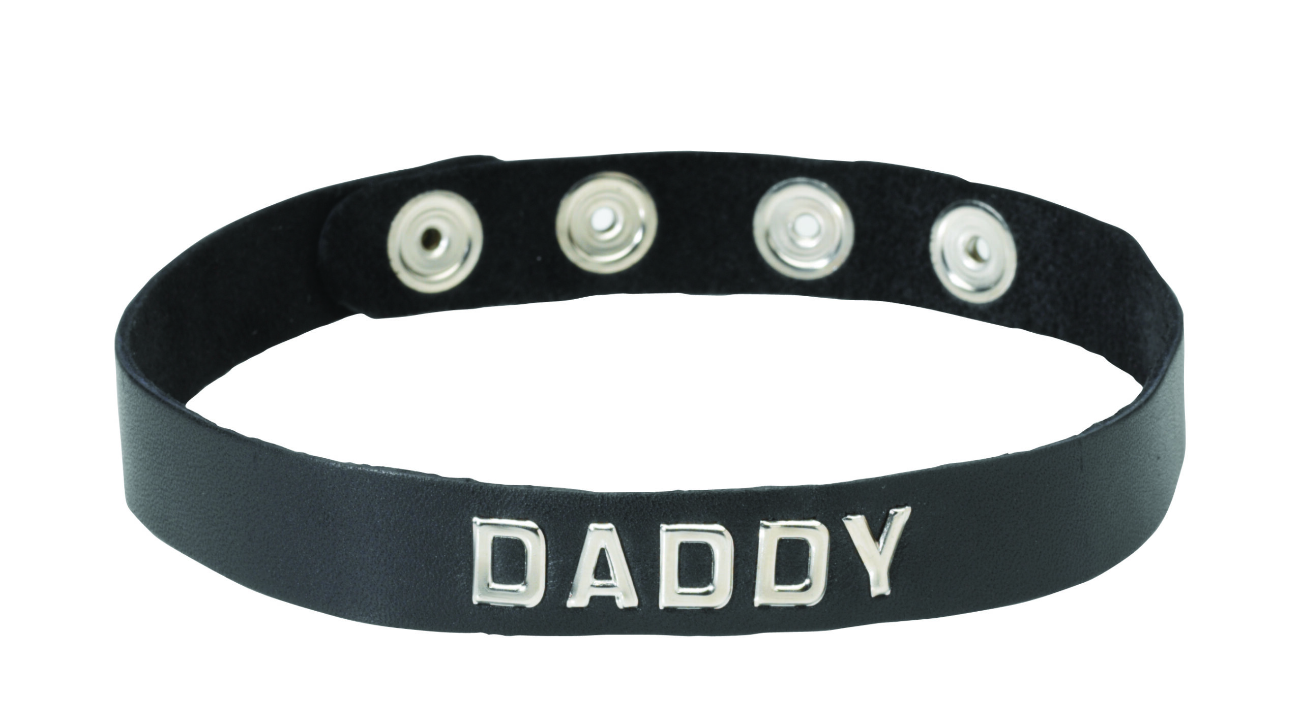 Spartacus Leathers Bondage Gear Wordband Collars Daddy Collar is an intimate