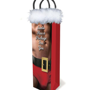 Santa Has A Big Package For You Gift Bag from Little Genie. Happy Holidays with the Santa Has a Package Gift Bag. Unlike other gift bags