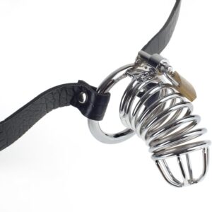 Fetish Fantasy Extreme Extreme Chastity Belt Black Steel Cock Cage. Chasity belt with lock. Lock up your subject's most misbehaved member with the Extreme Chastity Belt. Made from high quality metal and closed with a secure lock