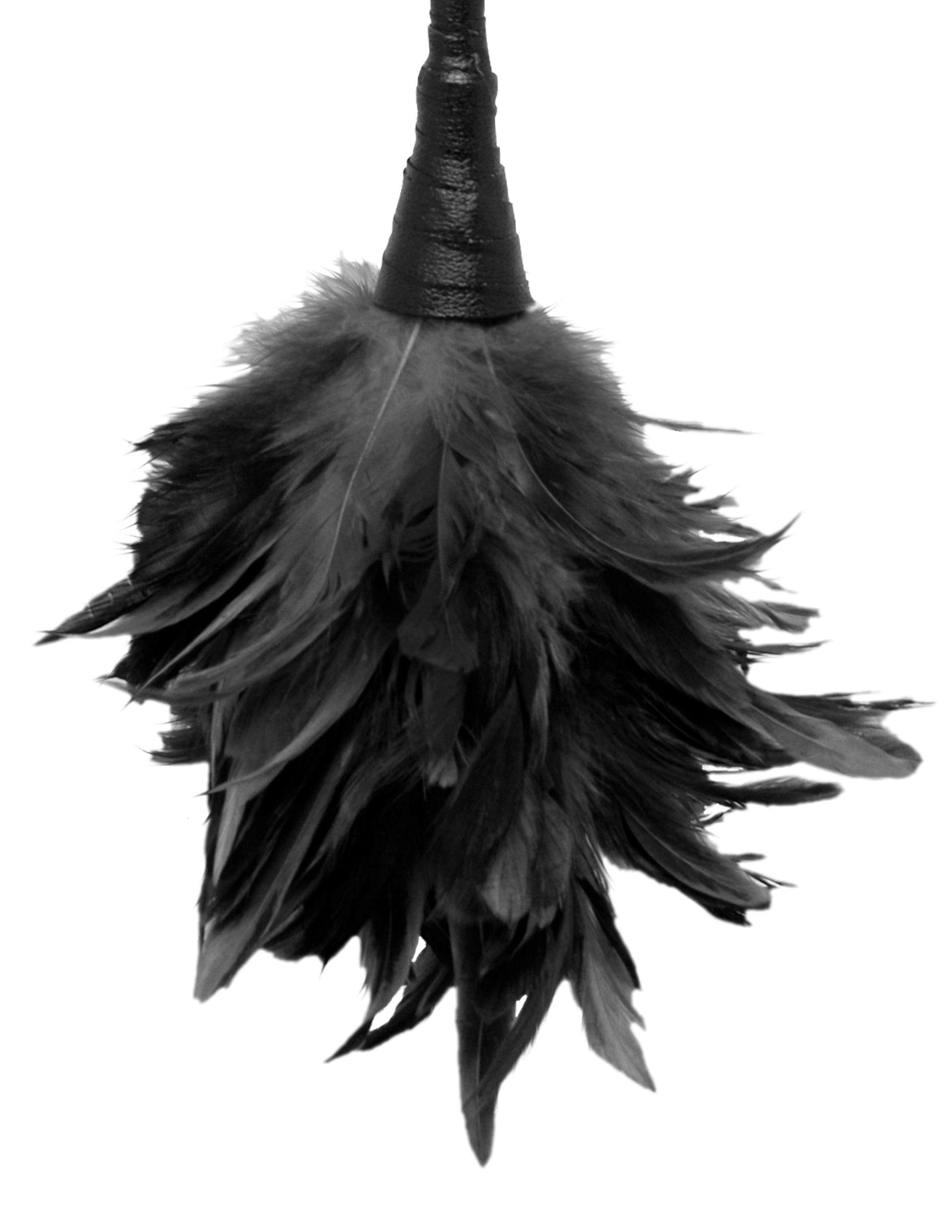 Fetish Fantasy Series Frisky Feather Duster Black dust