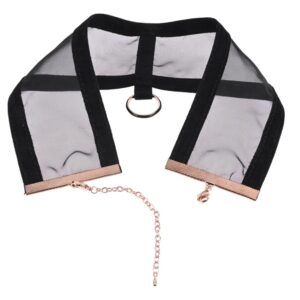 Sex and Mischief Sheer Day Collar from Sportsheets. Add a touch of sensuality and allure to your outfit with the Sheer Day Collar! This stunning sheer collar features a black and gold collar ring and is delicately finished off with a luxurious velvet ribb