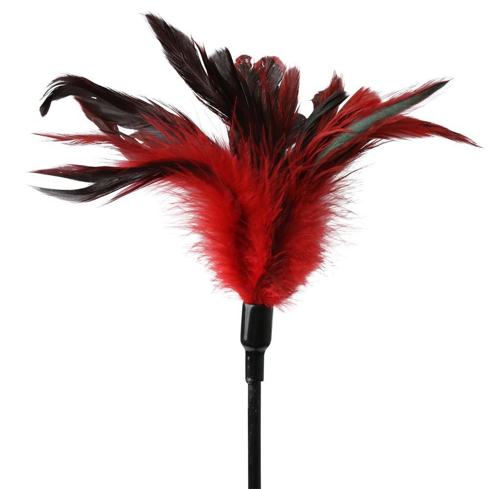 Sex and Mischief Collection from Sportsheets Feather Slapper Spanker is a fancy spanker features luxurious black feathers on one end and a sturdy spanker on the other. Dual purpose tool: one end is a feather tickler for flirting and teasing. The other end