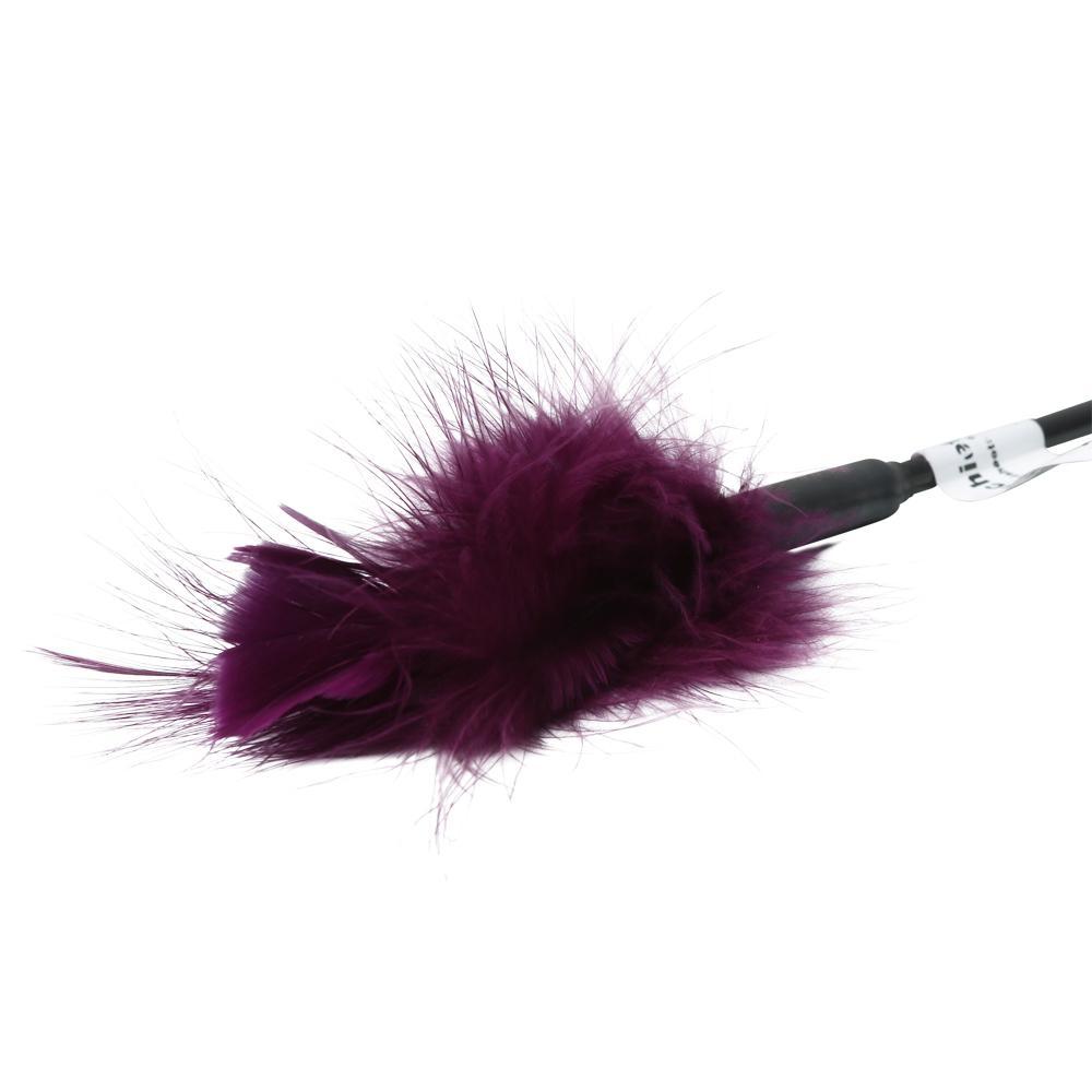 Sex and Mischief Collection from Sportsheets. Feather Tickler Purple. Designer turkey feathers for ultimate tickling tactile play. Details 13 inches soft Feather Tickler in purple. Materials Turkey feather