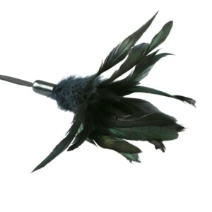 Pleasure Feathers Black. A perfect finishing touch to any sex toy collection! This sassy little feather tickler lets you arouse your lover with playful strokes across their body. Simply slide on the attached wrist strap