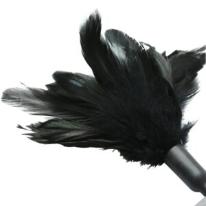 Starburst Tickler Feather Black. A starburst of gorgeous feathers on a 16 inches black wand. Tickle and caress your partner. Available in many colors to match your lingerie or costume. Product features a card with sexy games and tips. Materials: chicken f