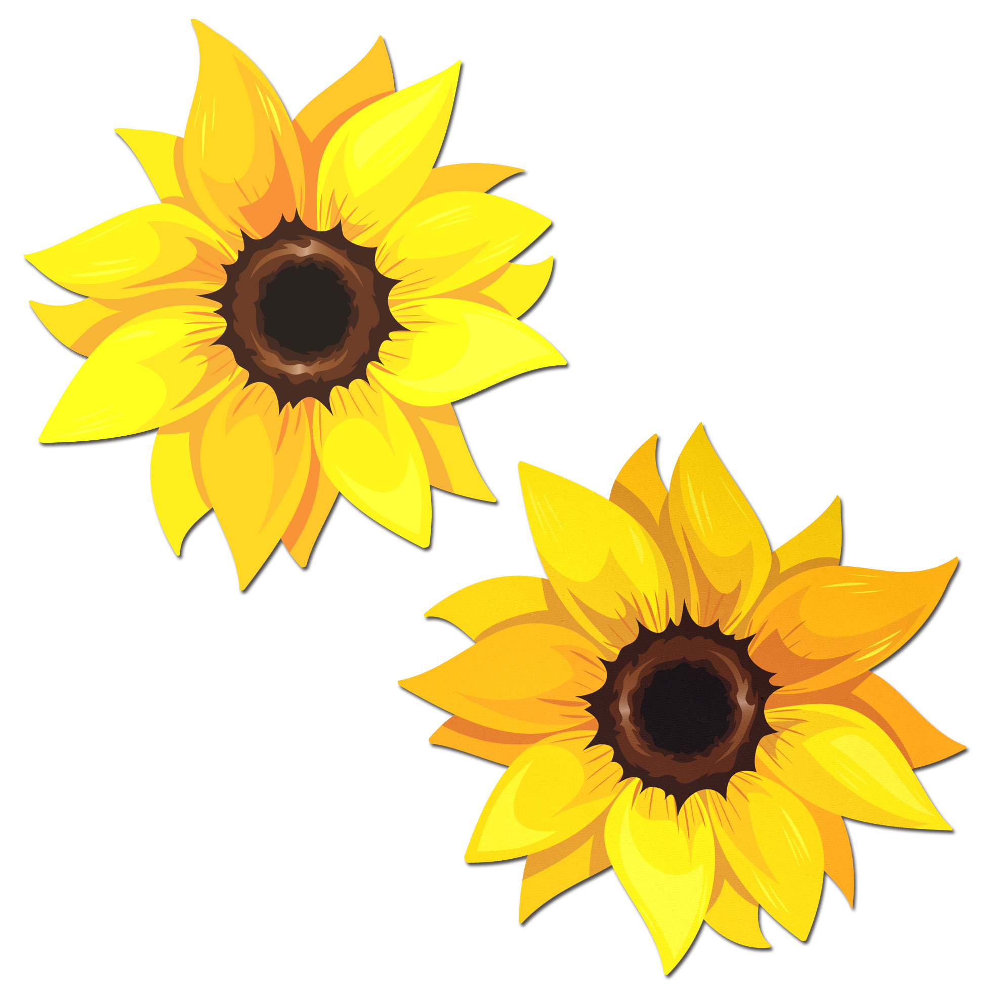 PASTEASE SUNFLOWER