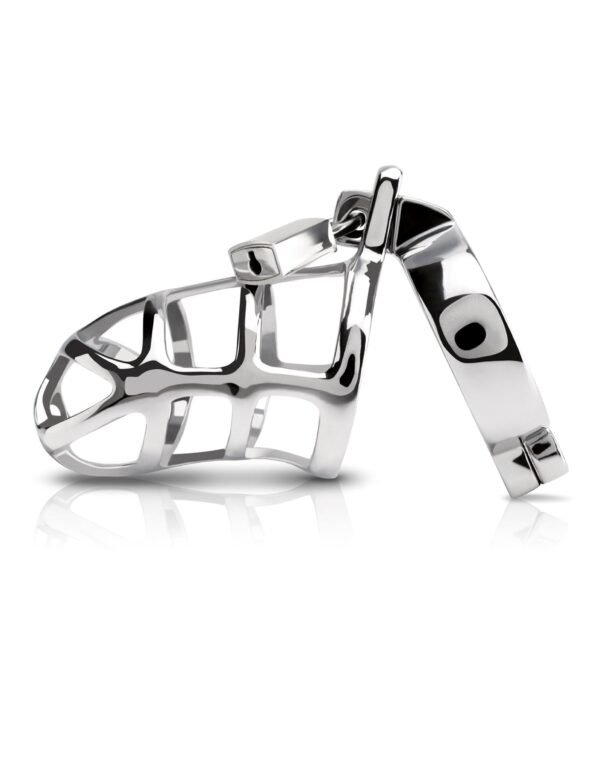 Metal Worx Cock Cage from Pipedream Products. Give precious metals a whole new meaning with this luxurious high end metal cock cage. Cast in high quality steel and hand polished to perfection
