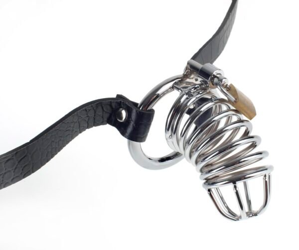 Fetish Fantasy Extreme Extreme Chastity Belt Black Steel Cock Cage. Chasity belt with lock. Lock up your subject's most misbehaved member with the Extreme Chastity Belt. Made from high quality metal and closed with a secure lock