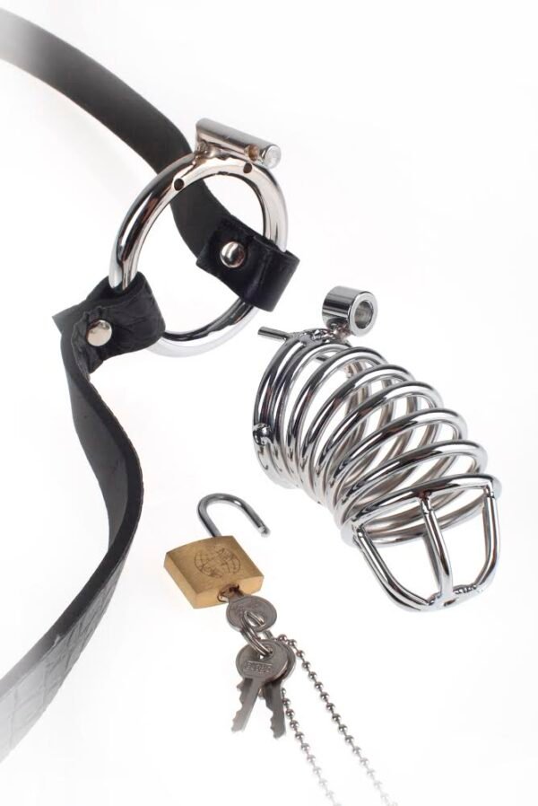 FETISH FANTASY EXTREME CHASTITY BELT - Image 3
