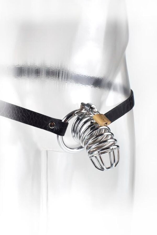FETISH FANTASY EXTREME CHASTITY BELT - Image 5