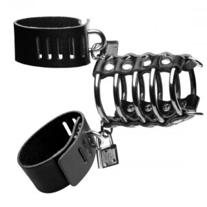 STRICT GATES OF HELL CHASTITY DEVICE
