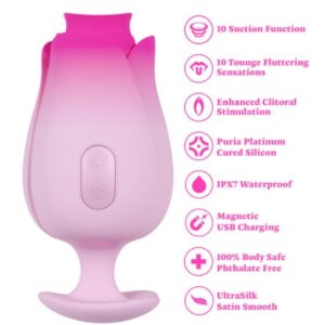 ARIA TULIP TRANCE PINK