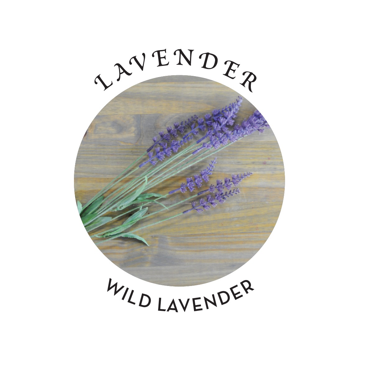 RELAXING MASSAGE & BODY OIL LAVENDER 8 OZ