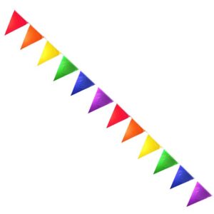 RAINBOW SOLID PENNANTS