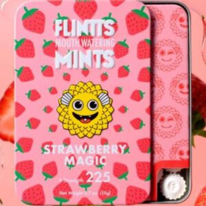 FLINTTS MINTS STRAWBERRY MAGIC