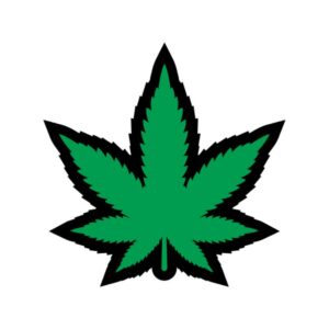 GREEN MARIJUANA LEAF PIN (NET)