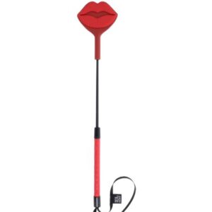 EX'S & OH'S KISS CROP