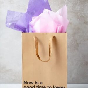 NOW IS A GOOD TIME TO LOWER YOUR EXPEXTATIONS GIFT BAG
