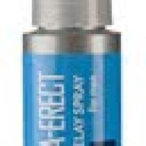 STA-ERECT SPRAY BX