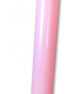 (D) INFLATABLE PECKER NOODLE