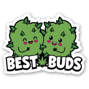 BEST BUDS STICKER (NET)