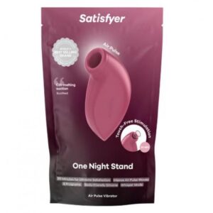 ONE NIGHT STAND (NET)